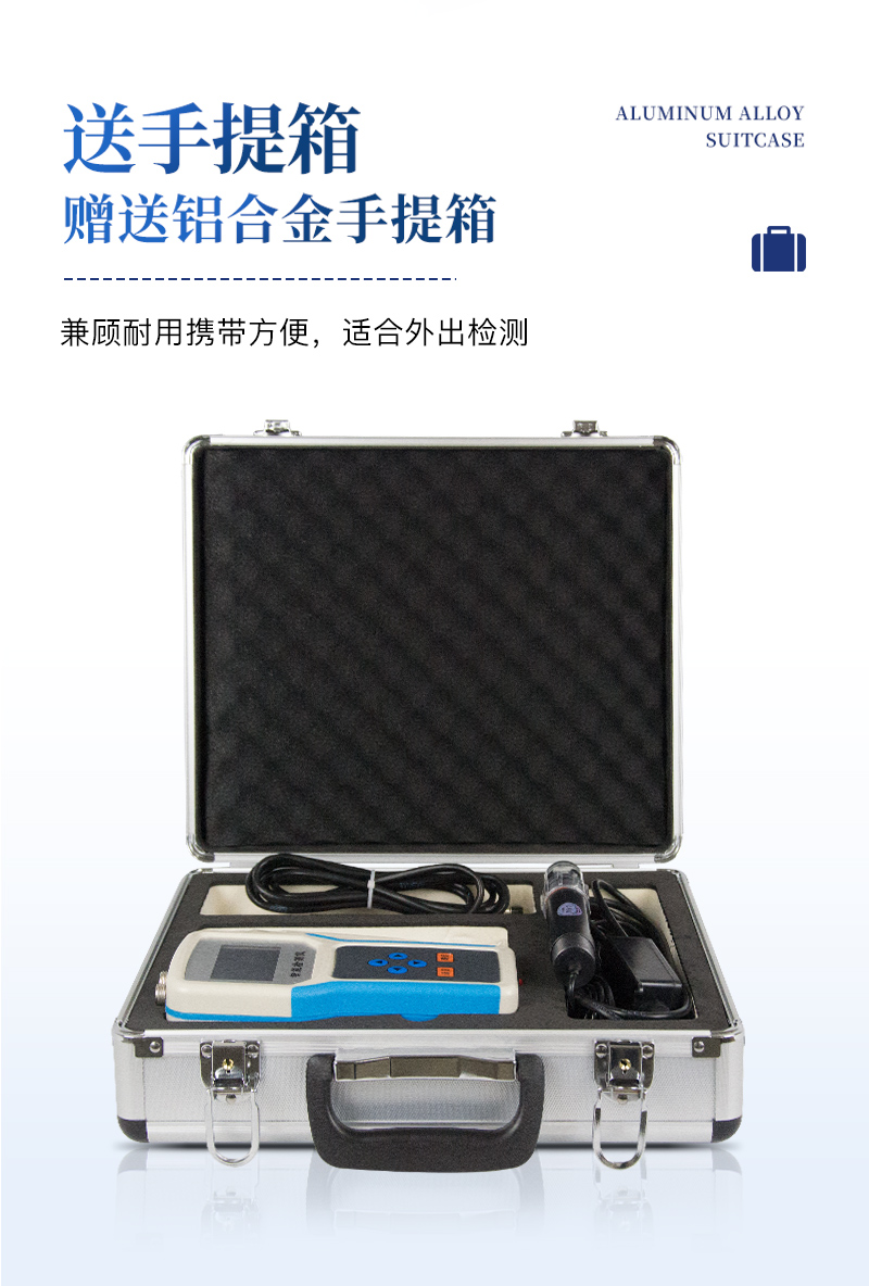 土壤水分温度盐分ph测定仪-ST-WSYP--详情_06.jpg