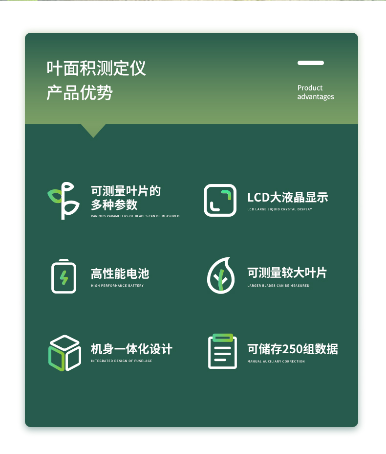 叶面积_02.jpg