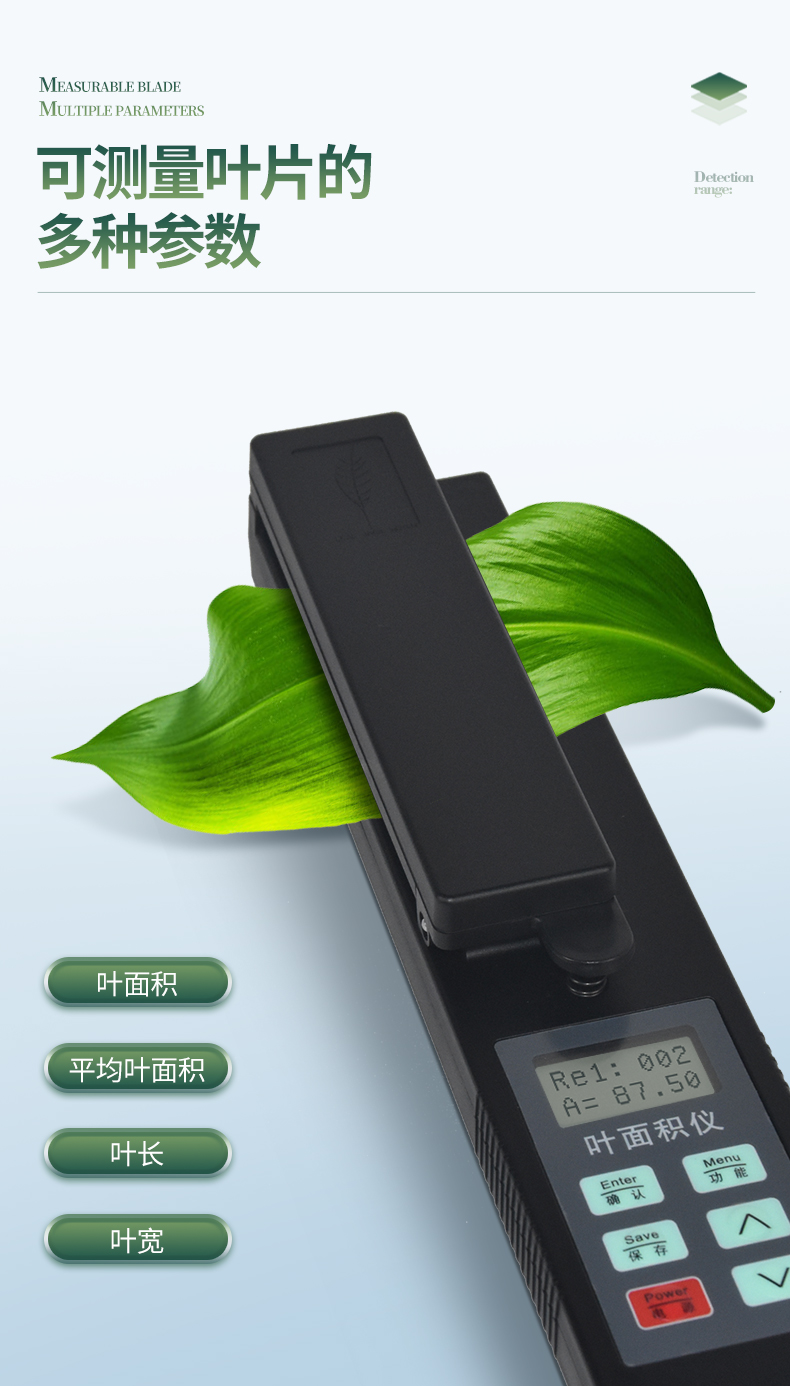 叶面积_05.jpg