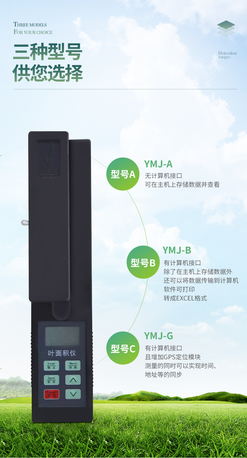 叶面积_10.jpg