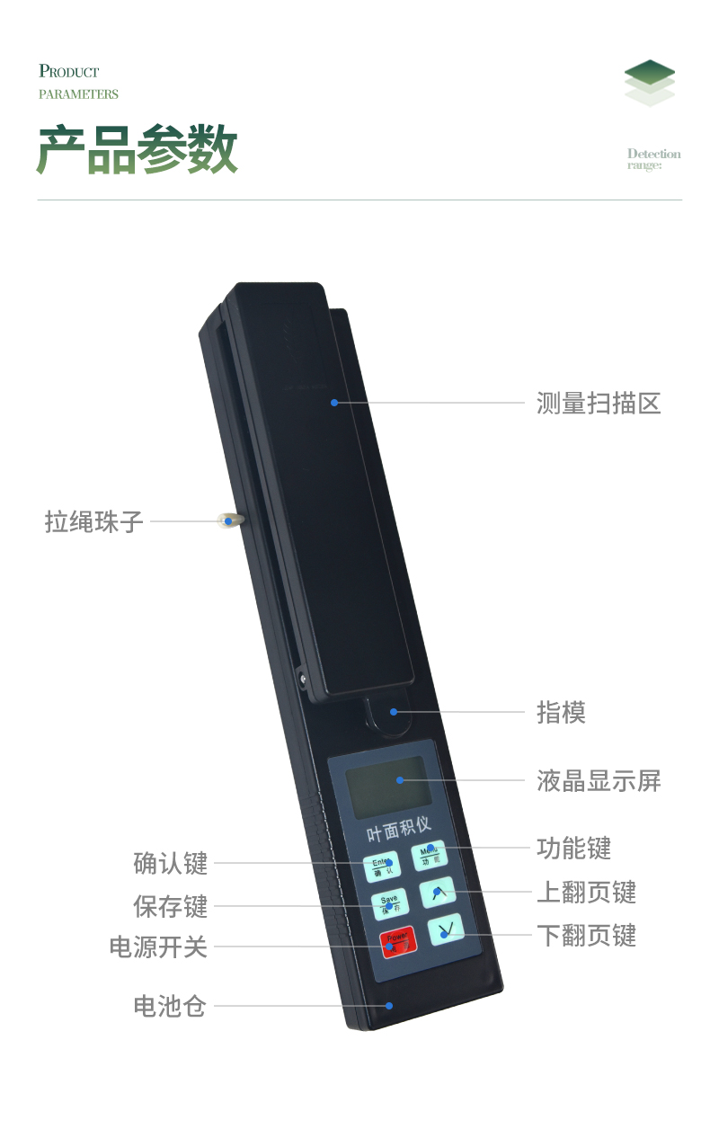 叶面积_11.jpg
