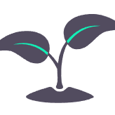 植物生理仪器